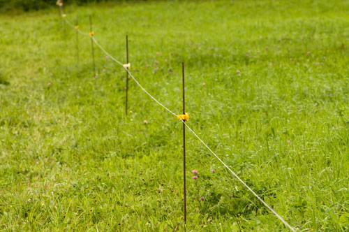 Electric Fence Design - Cooperative Extension: Livestock - University of  Maine Cooperative Extension
